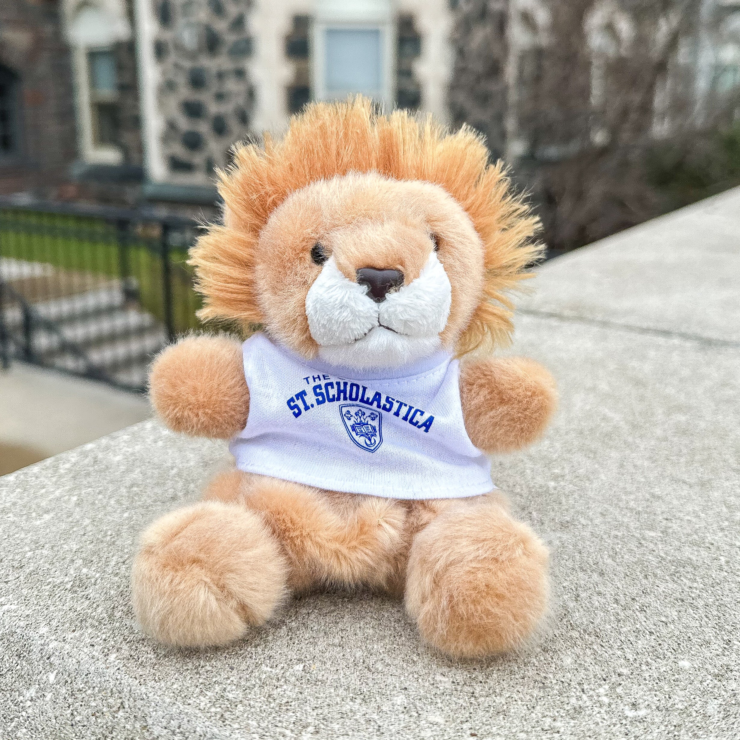 Aurora Pal Pal - Lion