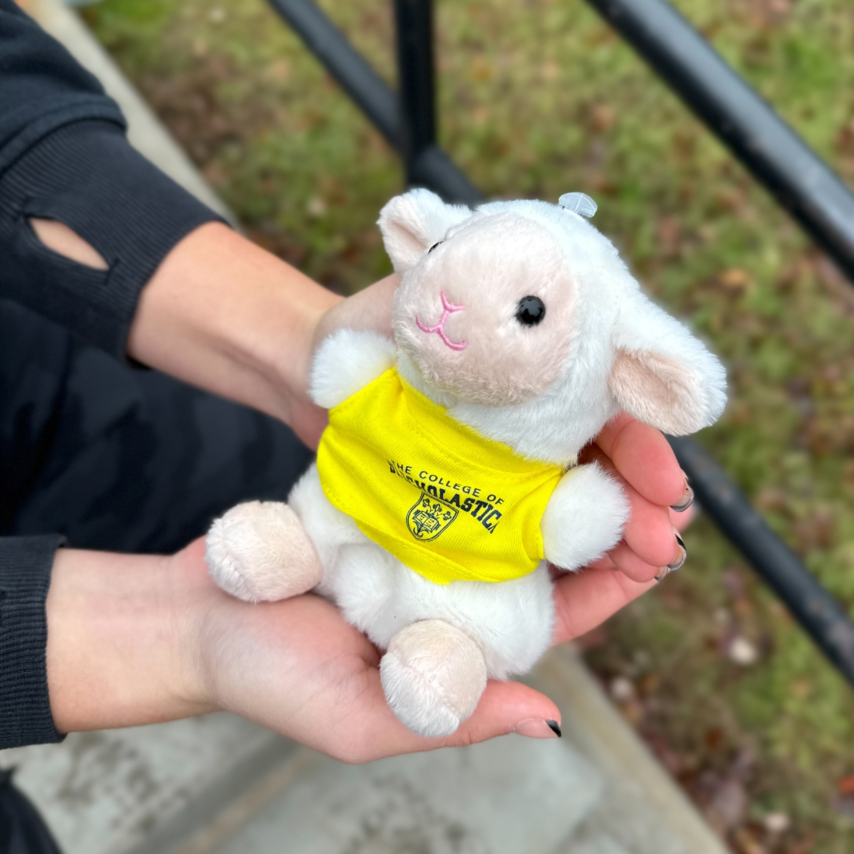 Aurora Palm Pal - Lamb