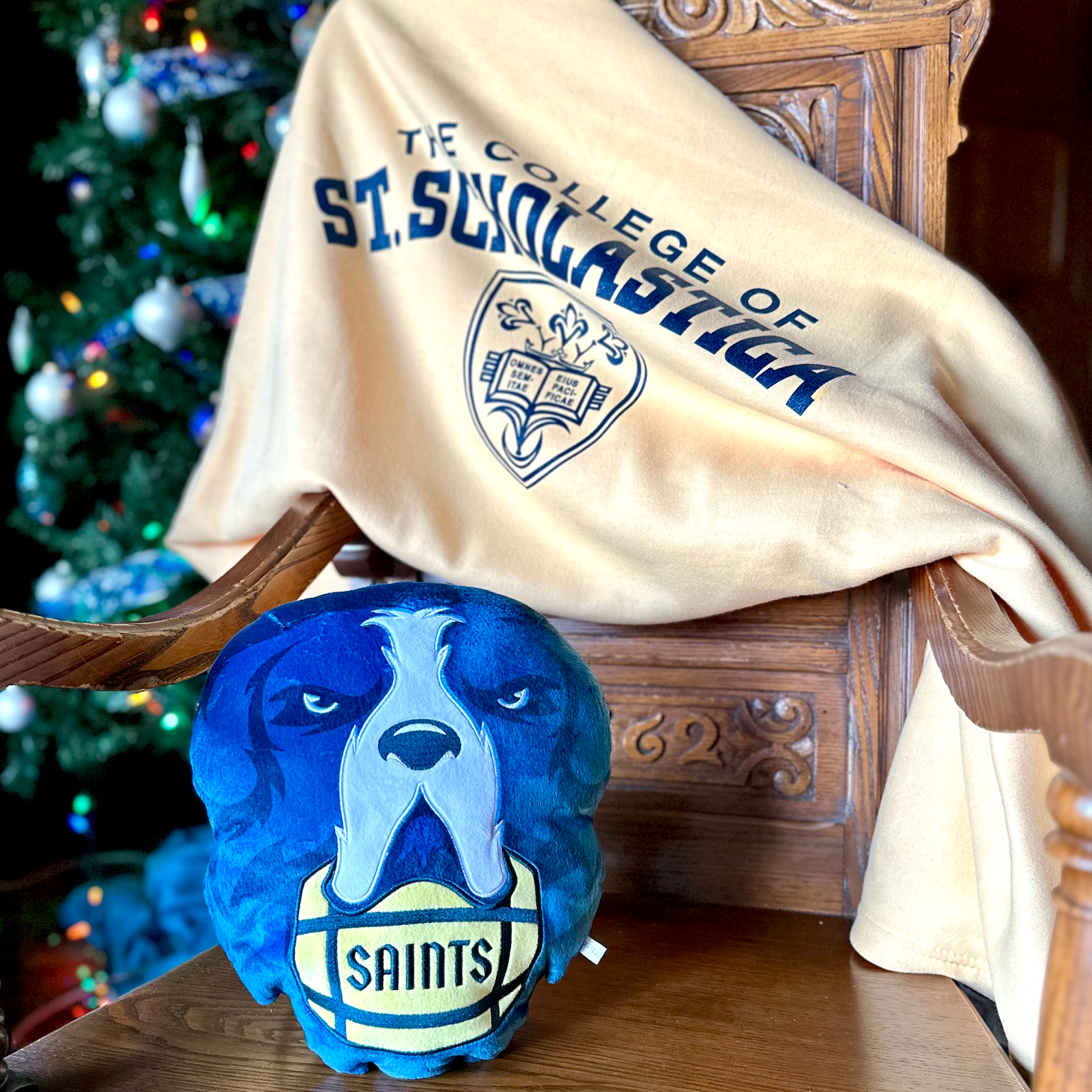 Storm Squishy Pillow