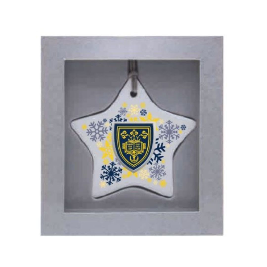 Ceramic Star Ornament