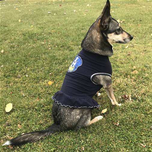 Dog Cheerleader Dress
