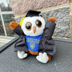 Mascot Factory Jubilee Posse - Grad Owl